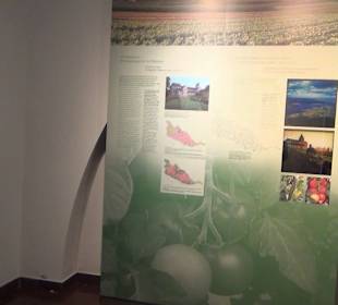 Museum Peter und Paul Reichenau