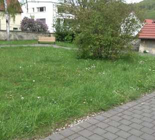 Park der Stille (Alter Oberhausener Friedhof)