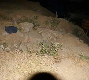 Alles 4 bzw. 5 Sterne, lach