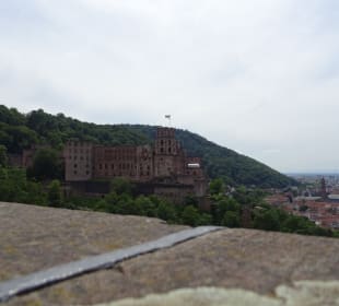 Schloss Heidelberg Ein-und Ausblicke