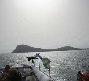 Der Schlafende Löwe