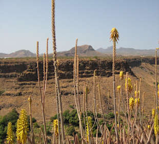 Umgebung - Forte Real de São Filipe
