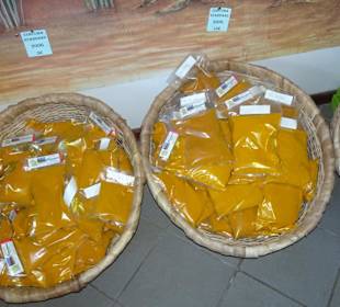 Rundgang durch das Maison du Curcuma