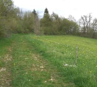 Premiumwanderweg Hochgebürzelt