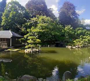 Japanischer Garten in Kaiserslautern