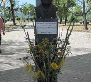 Eingangsbereich Festspielhaus Mörbisch