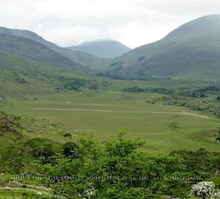 Kissane Sheep Farm im Kontext der Landschaft
