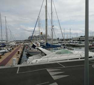 Palma Hafen