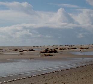 Dünenlandschaft auf Amrum