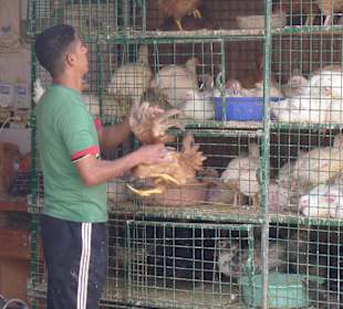 Auf dem Gemüsemarkt