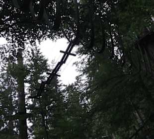 Natur-Hochseilgarten Triberg