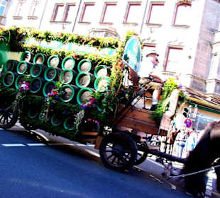 Brauerei Wolfshöher Neunkirchen a.S. Vierer-Gespan