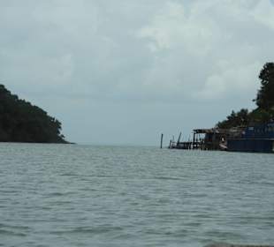 Auf dem Boot durch den Mangrovenwald