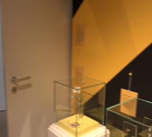 Museum für Naturkunde