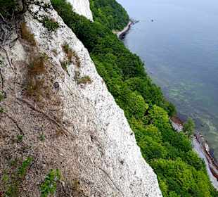 Kreidefelsen