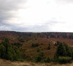 Heidelandschaft bei Wilsede