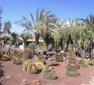 Schön aufgebaut der Park