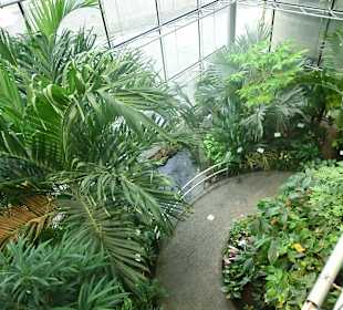 Tropenhaus