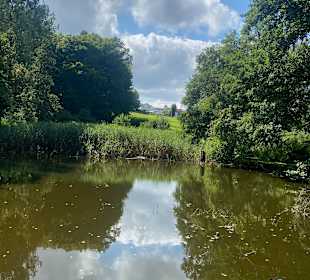 Wandern Höhr Grenzhausen