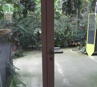 Zentrum für Pflanzen und Bildung