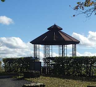 Bei einer Weinbergwanderung am Steinberg