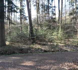 Wanderung Florianrunde