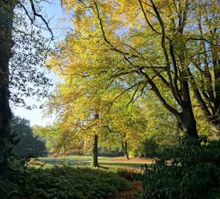 Herbstspaziergang durch den Schlosspark Lütetsburg