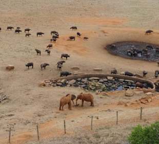 Blick von der Voi Safari Lodge