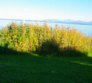 Blick über dem Chiemsee
