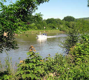 Kleine Boote und große Schiffe befahren die Saar
