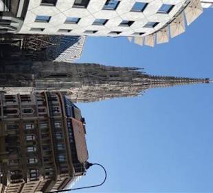 Blick zum Stephansdom