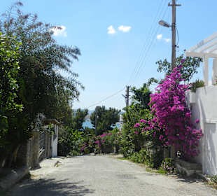 Bodrum - City mit Flair