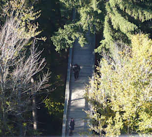 Baumwipfelpfad