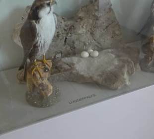 Museum Rosenburg