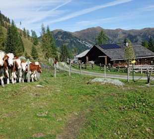 Bei der Hirschgrubenalm