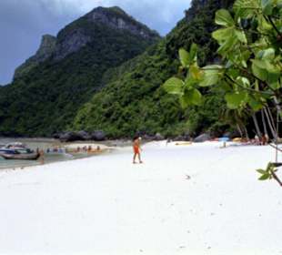 Marine National Park