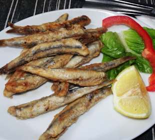 Vorspeisenauswahl im Restaurant Olive