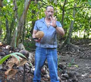 Halbinsel Samana Tour