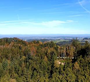 Ausblick