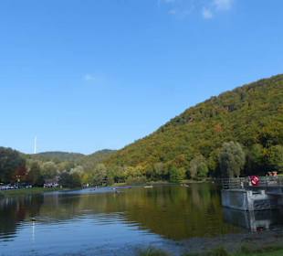 Ausblick auf den Waldsee