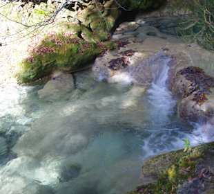 Горный нацпарк Истоки реки Уредерра, Наварра