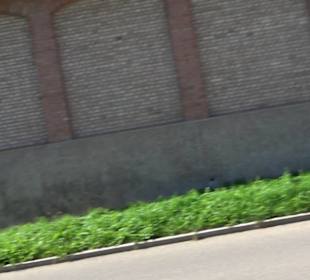 Historische Häuser der ehemaligen Gärtnerei