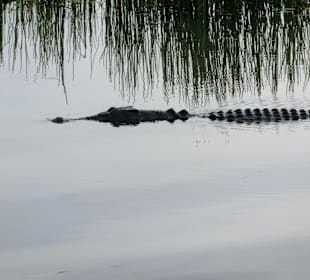 Ausflug zum Yellow River