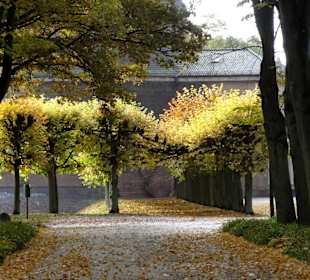 Alleen auf dem Osterholzer Friedhof