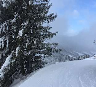 Ziehweg zum Spielberghaus
