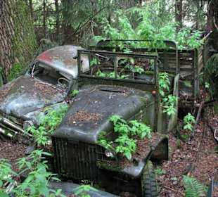 Oldtimer auf Historischem Autofriedhof in Kaufdorf