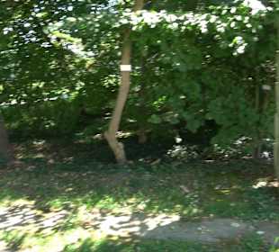 Schlosspark Hohenheim