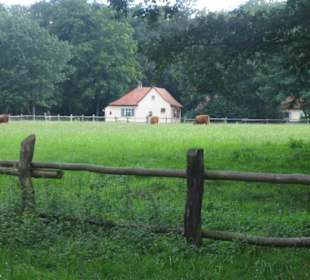 Das kleine Dorf mit Weide davor.