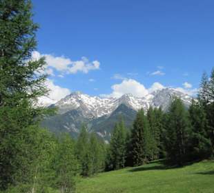 Ausblick