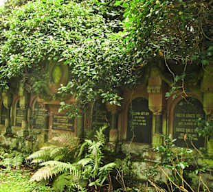 Кладбище Ольсдорф, Гамбург, 16 сентября 2013 года